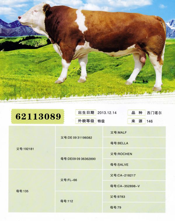 62113089.jpg